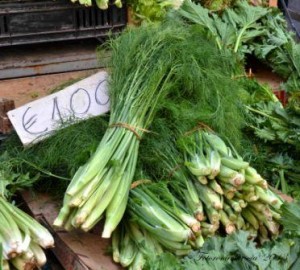 Spogna