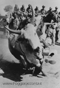Rodeo a Foggia 1