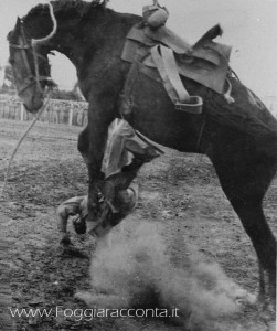 Rodeo a Foggia 2