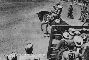 Rodeo a Foggia 6