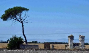 Pozzo Mass colonnelle