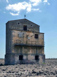 Silos Granaio Mass