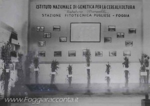 Esposizione delle Sementi Fiera di Foggia