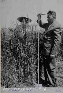 Grano Bianchetta