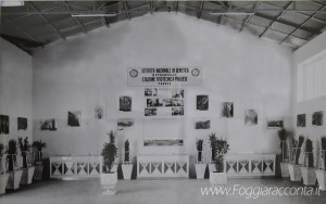 Mostra delle Sementi - Fiera di Foggia