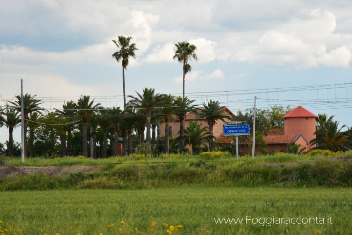 Santa Chiara 3