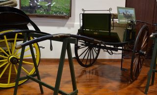 DOG CART due ruote