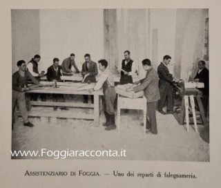assistenziario-di-foggia-3